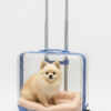 seffaf-pet-valiz-100-polikarbon-valiz-1821-123358 Şeffaf Pet Valiz %100 Polikarbon Valiz 1821